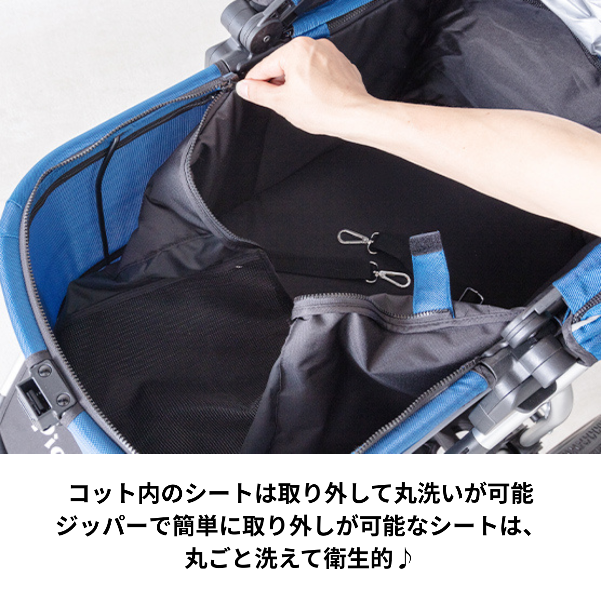 ピッコロカーネ　FORTE（フォルテ）