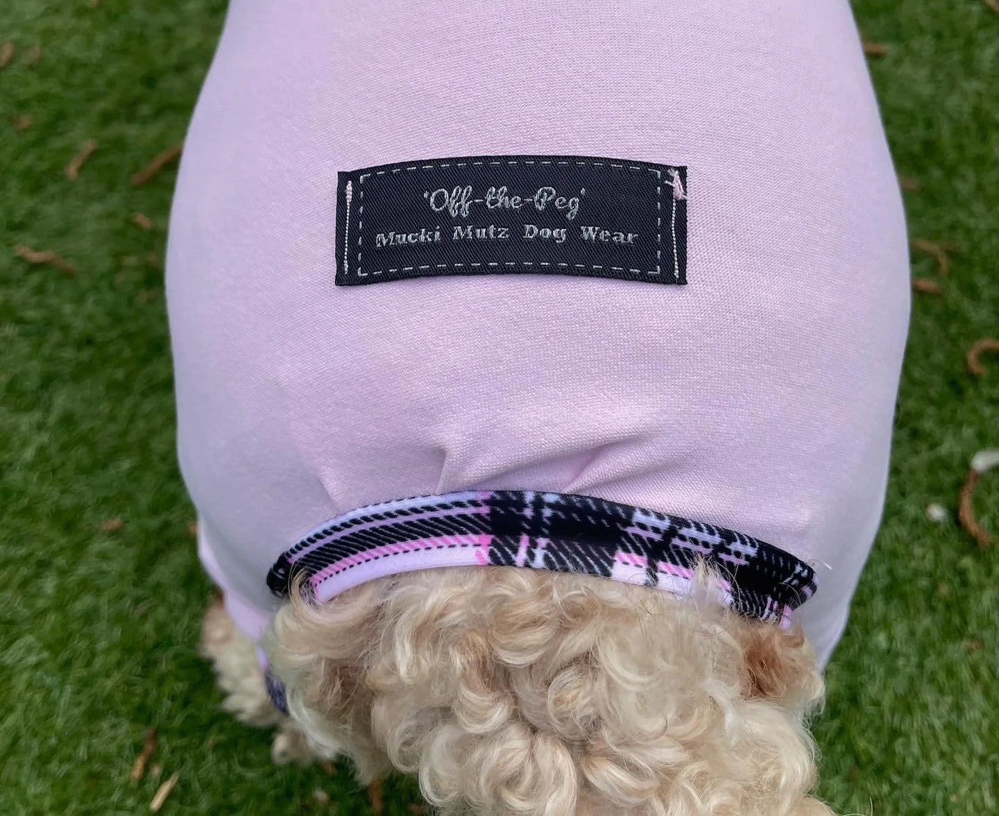 Mucki Mutz Dog Wear　ライトスーツ　グレイ　男の子、女の子兼用