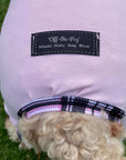 Mucki Mutz Dog Wear　ライトスーツ　グレイ　男の子、女の子兼用