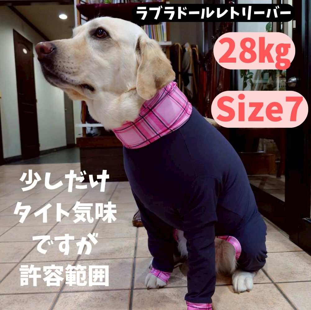 Mucki Mutz Dog Wear 　Ligth Suit 着用例