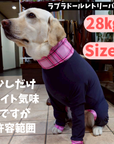 Mucki Mutz Dog Wear 　Ligth Suit 着用例