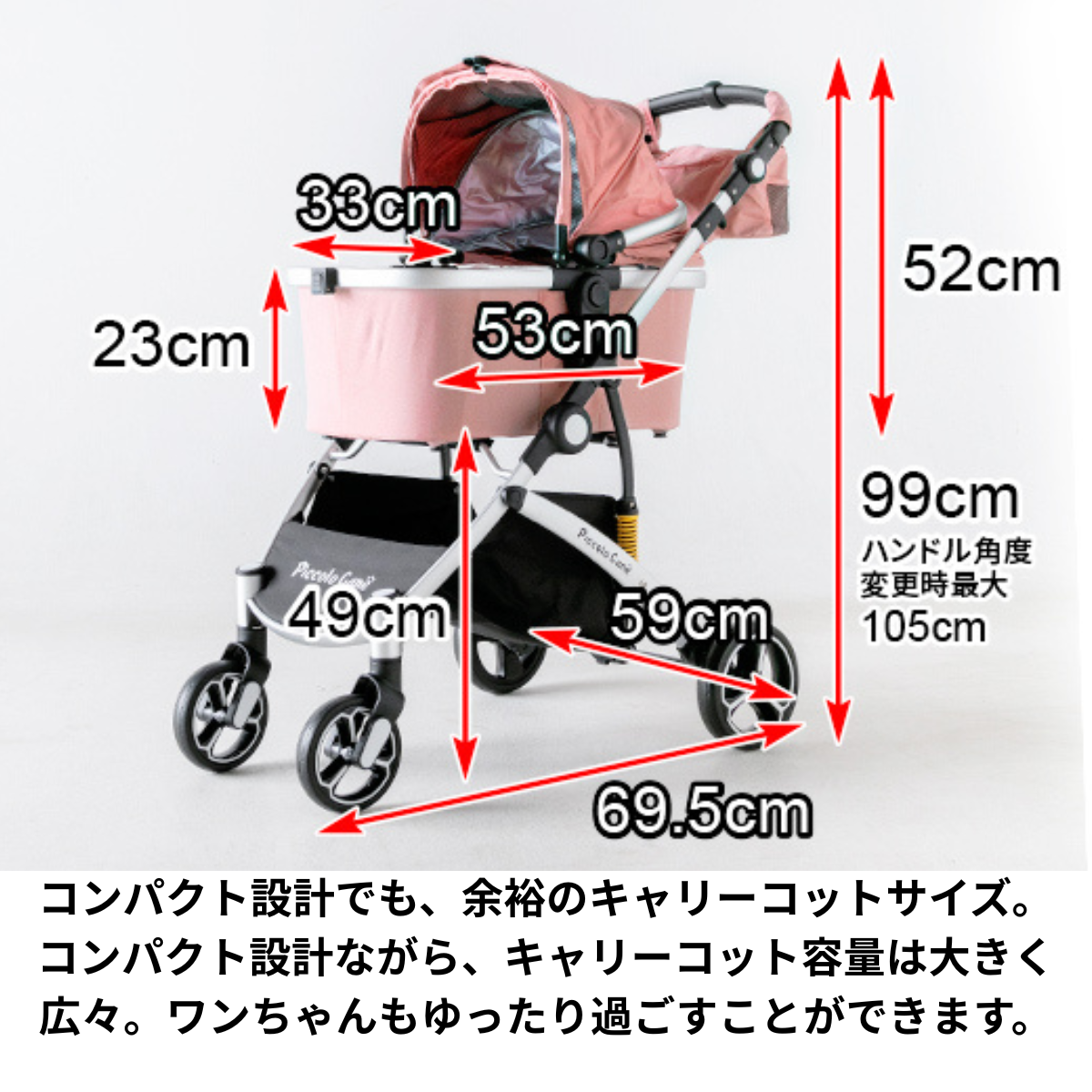 ピッコロカーネ　CARINOα（カリーノ アルファ）