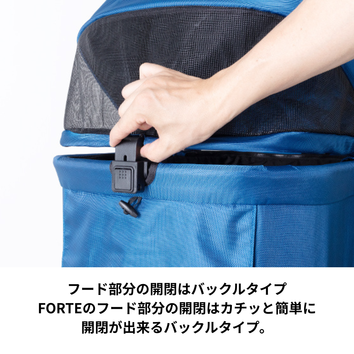ピッコロカーネ　FORTE（フォルテ）