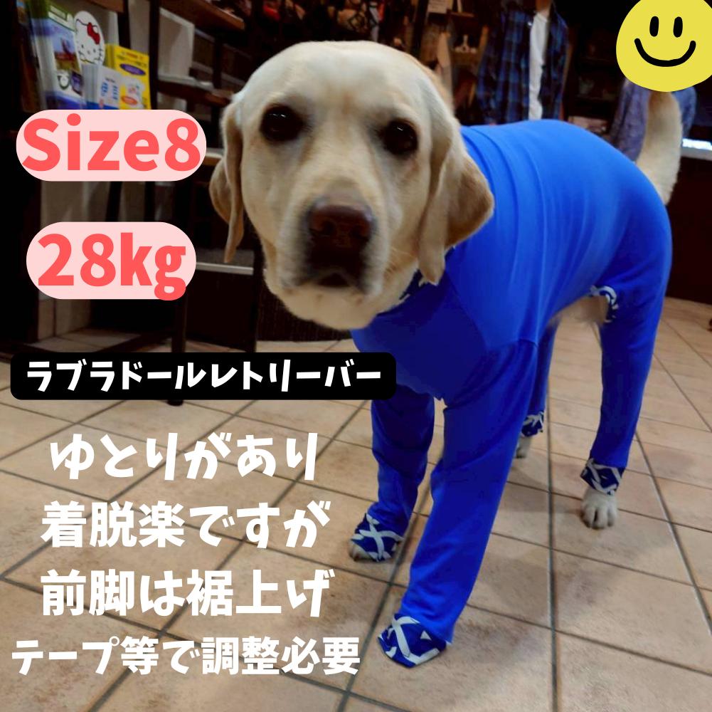 Mucki Mutz Dog Wear 　Ligth Suit 着用例