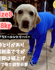 Mucki Mutz Dog Wear 　Ligth Suit 着用例