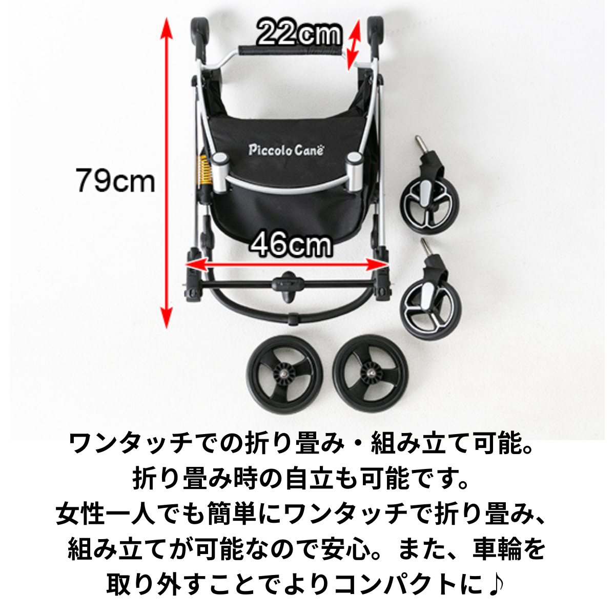 ピッコロカーネ　CARINOα（カリーノ アルファ）