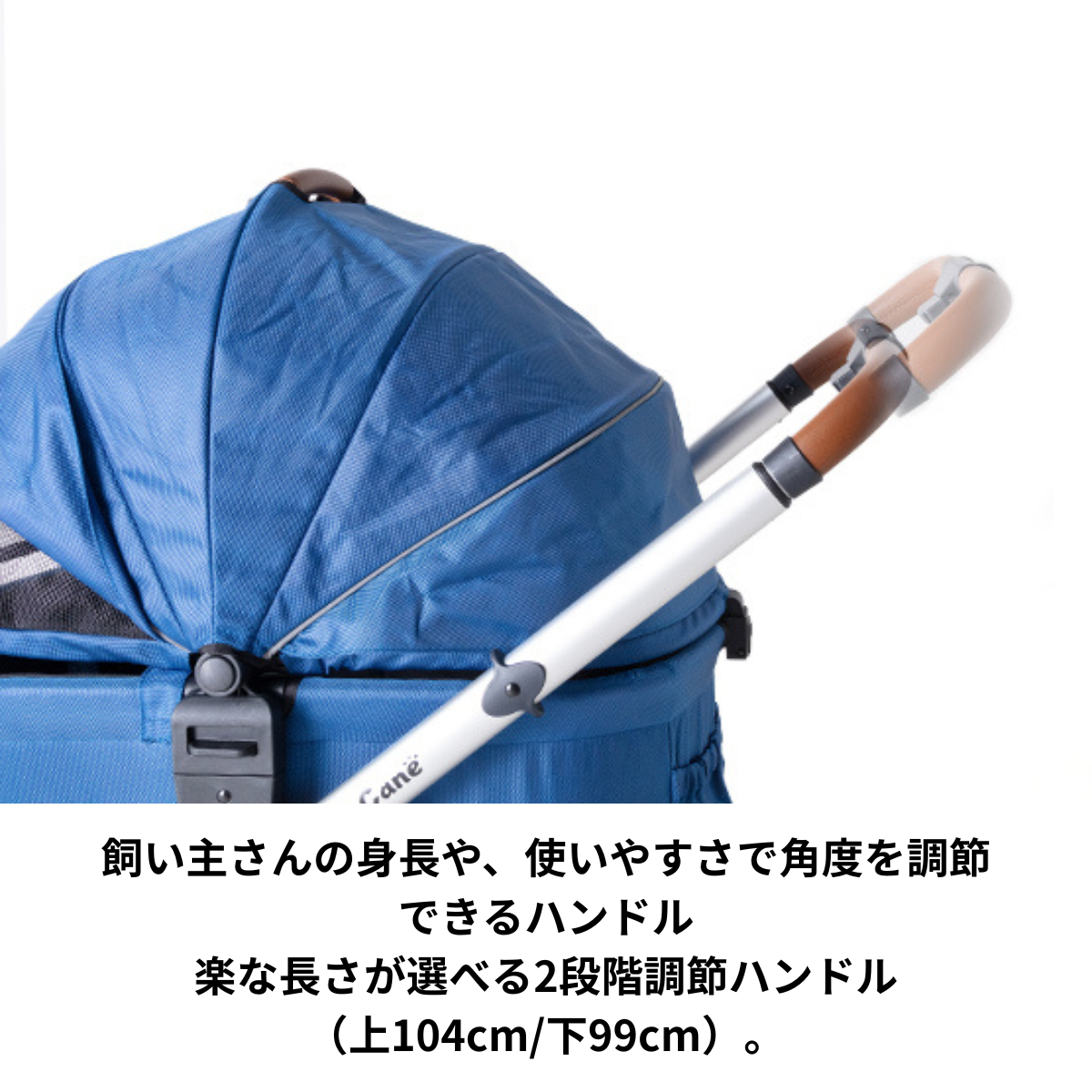 ピッコロカーネ　FORTE（フォルテ）