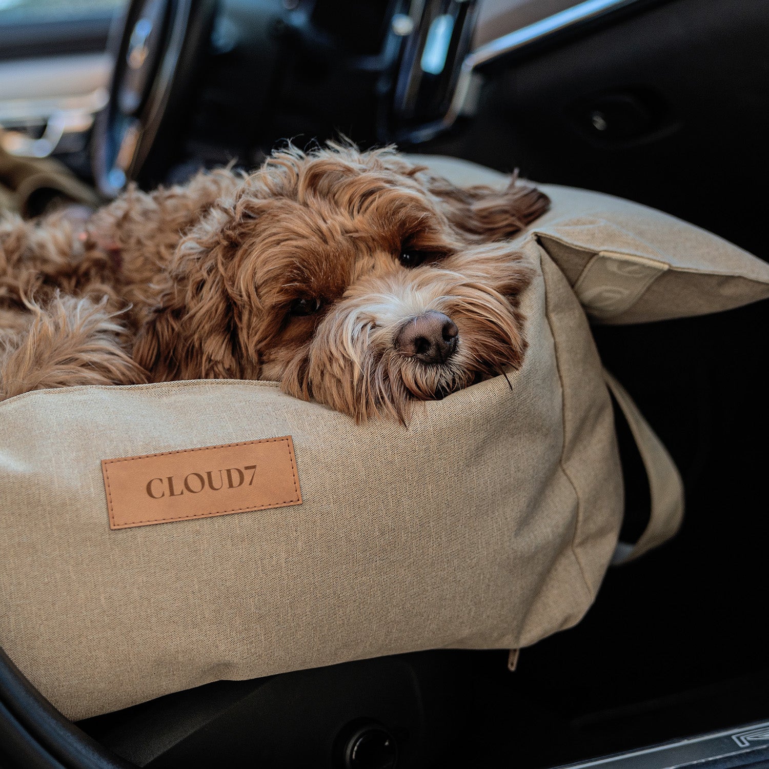 CLOUD7　ポータブル犬用カーシート ゲッタウェイ ライト グラファイト