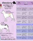 女の子用　FlexiｰPants　調整可能おむつカバー　XXXL