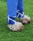 Mucki Mutz Dog Wear　ライトスーツ　ロイヤルブルー