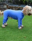 Mucki Mutz Dog Wear　ライトスーツ　ロイヤルブルー
