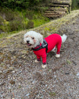 Mucki Mutz Dog Wear　ライトスーツ　レッド