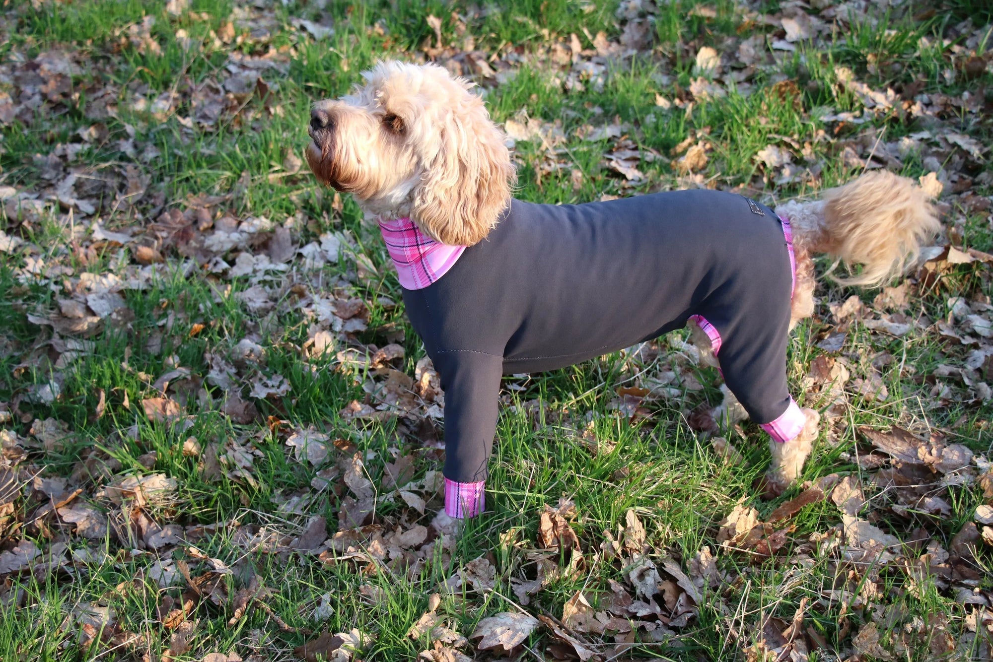 Mucki Mutz Dog Wear　ライトスーツ　グレイ　男の子、女の子兼用