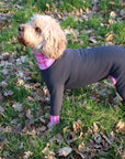 Mucki Mutz Dog Wear　ライトスーツ　グレイ　男の子、女の子兼用