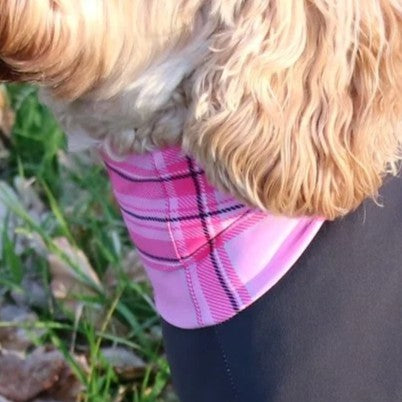 Mucki Mutz Dog Wear　ライトスーツ　グレイ　男の子、女の子兼用