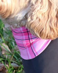 Mucki Mutz Dog Wear　ライトスーツ　グレイ　男の子、女の子兼用