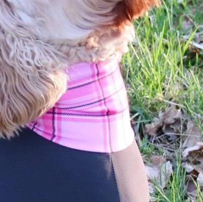 Mucki Mutz Dog Wear　ライトスーツ　グレイ　男の子、女の子兼用