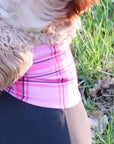 Mucki Mutz Dog Wear　ライトスーツ　グレイ　男の子、女の子兼用