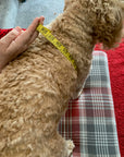 Mucki Mutz Dog Wear　サイズの測り方と着脱動画