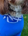 Mucki Mutz Dog Wear　ライトスーツ　ロイヤルブルー