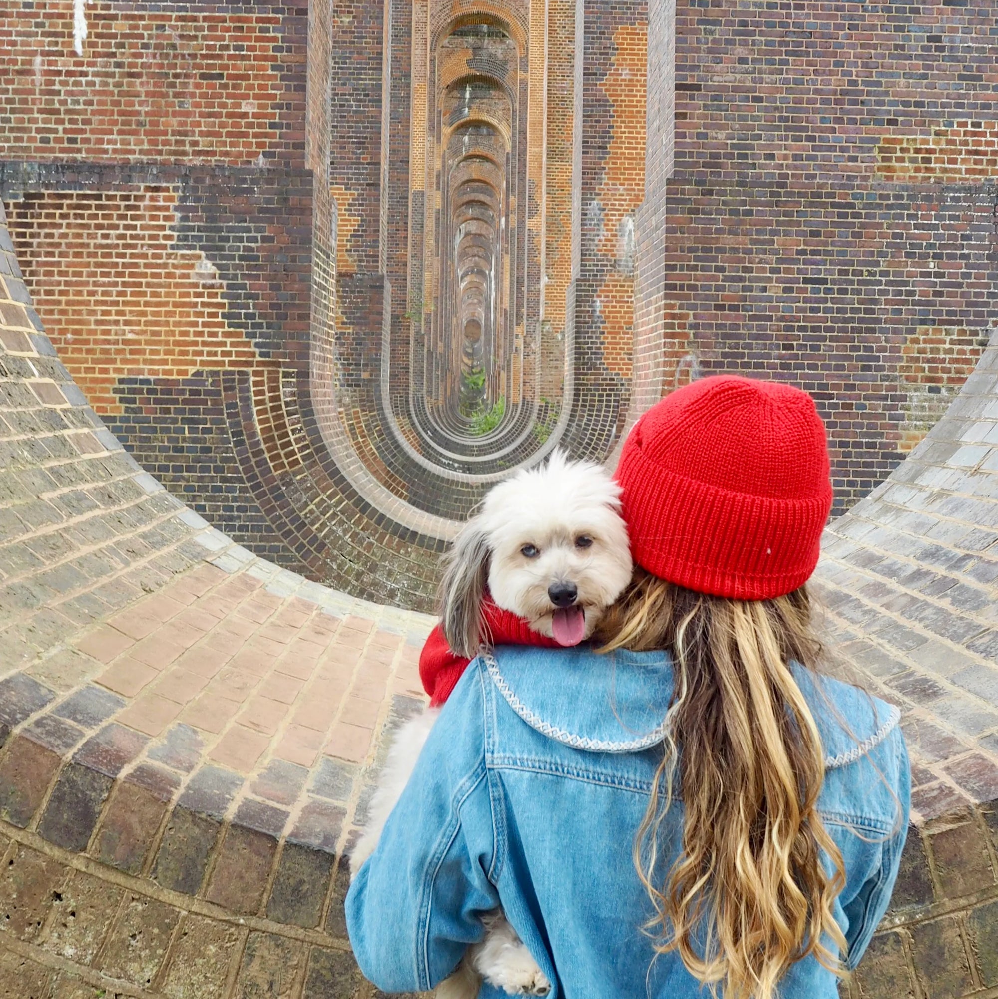 WAG＆WOOL　ブリティッシュウール　ビーニー　フリーサイズ