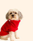 WAG＆WOOL　ブリティッシュウールドッグジャンパー　チェリーレッド