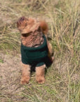 WAG＆WOOL　ブリティッシュウールドッグジャンパー　フォレストグリーン